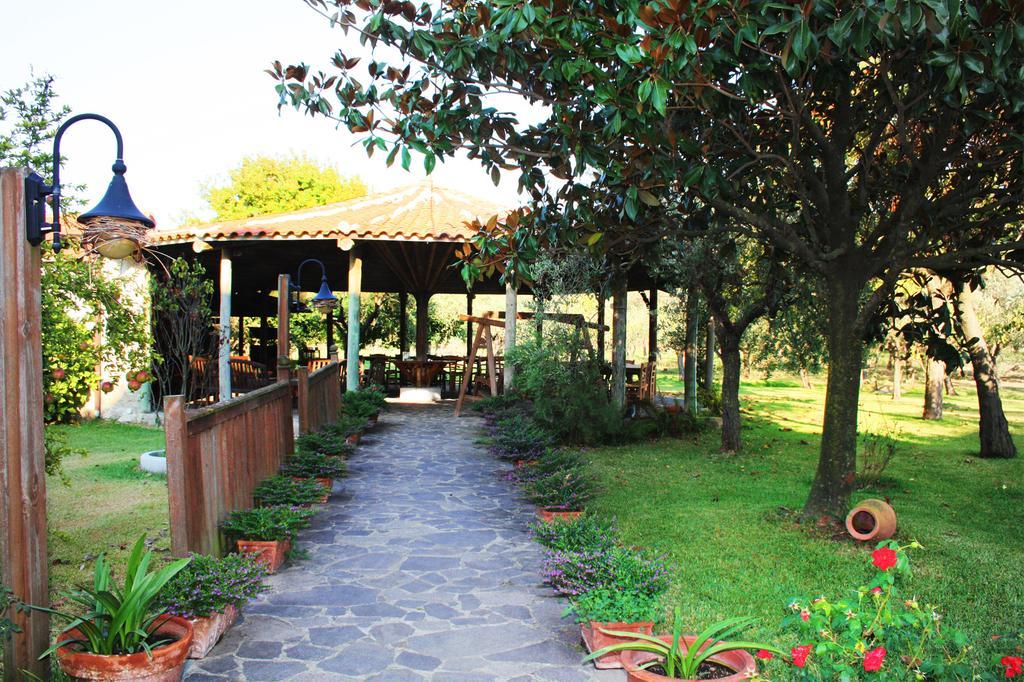 Iscairia Country House Ascea Zewnętrze zdjęcie
